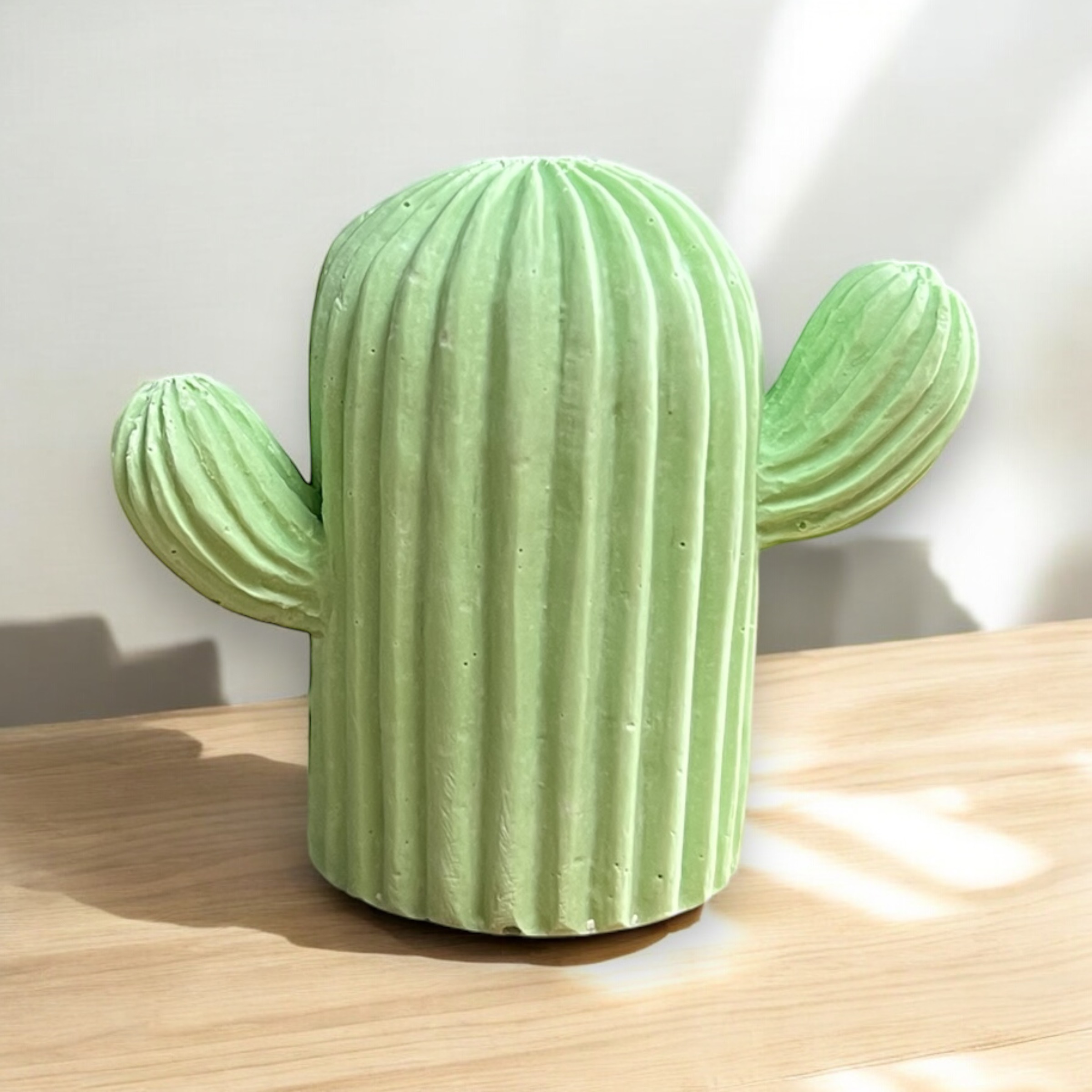 Cactus L